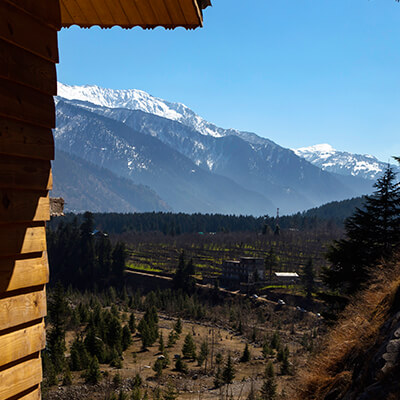 orchard-view-shobla-pine-royale-manali-square