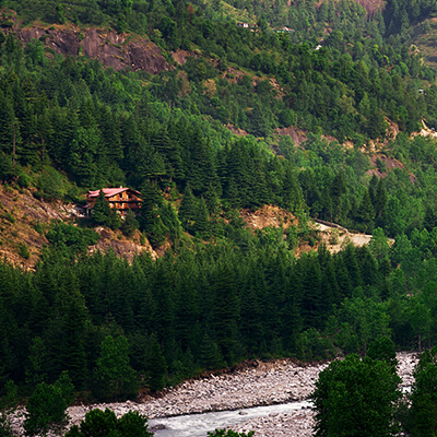 shobla-pine-royale-beas-view-manali-square