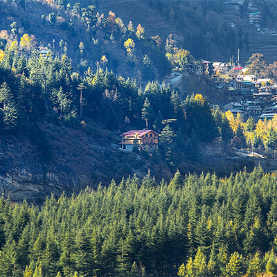 shobla-pine-royale-view-from-vashisht-manali-square