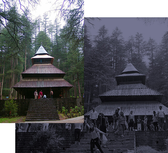 hadimba-devi-temple-attractions-in-kullu-manali-shobla-royale (1)